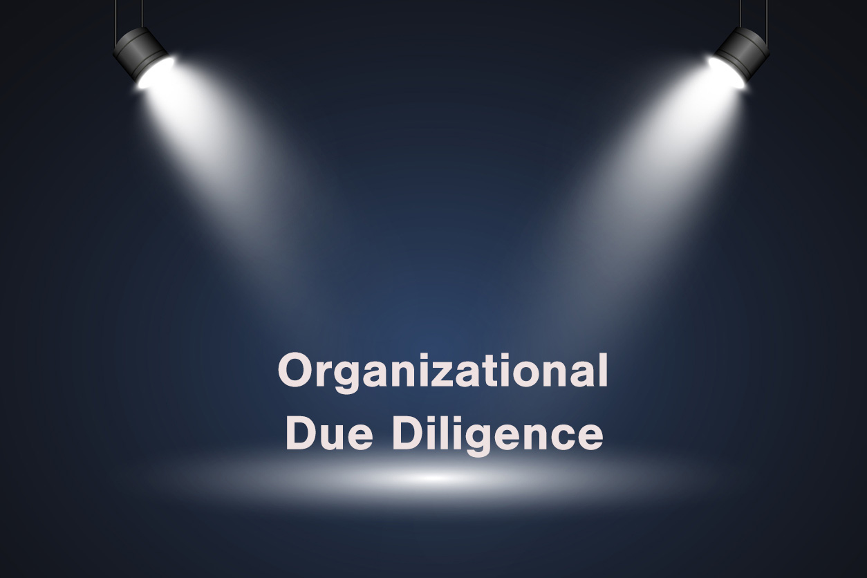 Organizational due diligence as a value creation lever